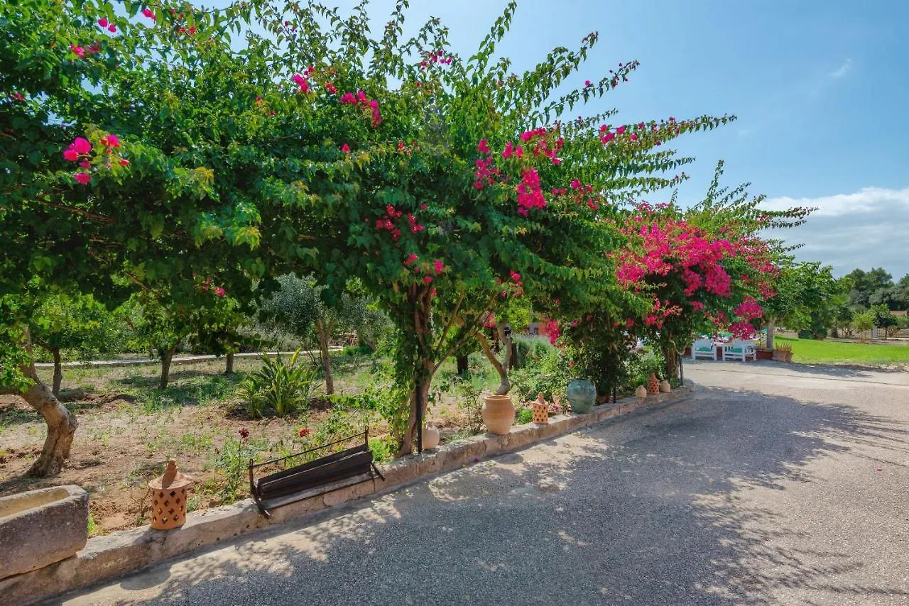 Can Calafat Santa Margalida Villa